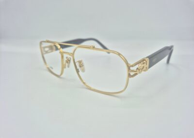 Lunettes monture optique FRED