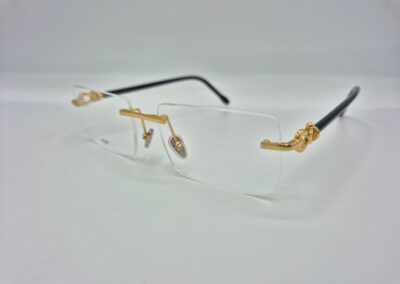 Lunettes monture optique FRED